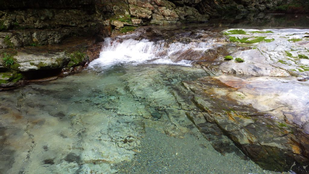 IMGP0462