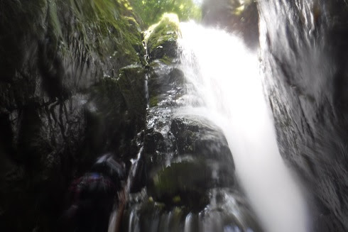 菅平谷ゴルジュ倒木の淵の滝の画像