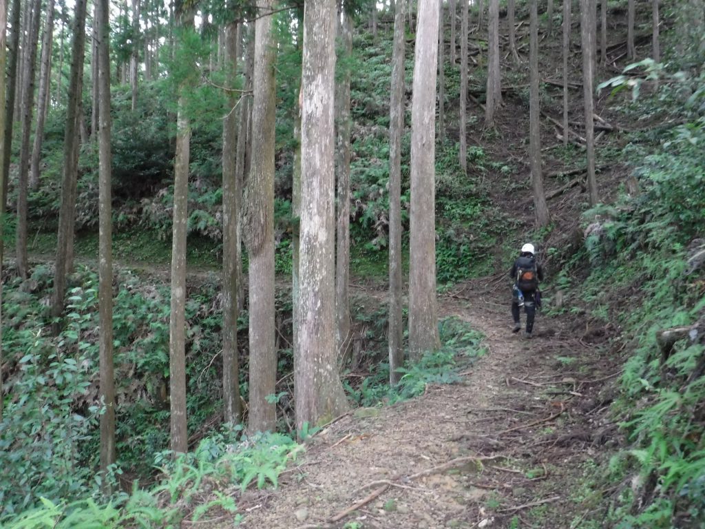 内鹿野谷１２